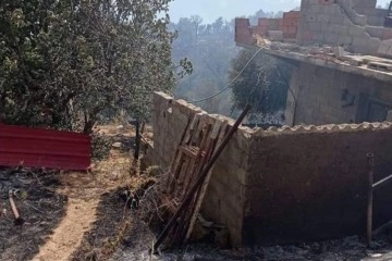 Cezayir'deki orman yangınlarında can kaybı 38'e yükseldi
