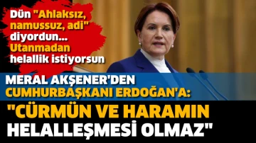Meral Akşener'den Cumhurbaşkanı Erdoğan'a: Cürmün ve haramın helalleşmesi olmaz