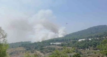 Mersin’de orman yangınına 2 uçak ve 5 helikopterle müdahale ediliyor
